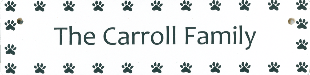 (image for) Large Personalized Paws Top